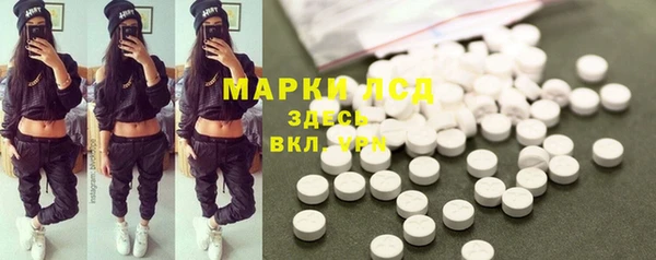 прущие крисы Абаза