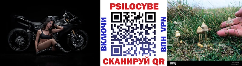 Псилоцибиновые грибы ЛСД  shop состав  Вичуга  купить закладку 